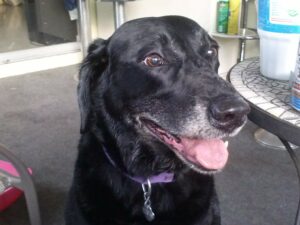 Forever In our Hearts - Breeze